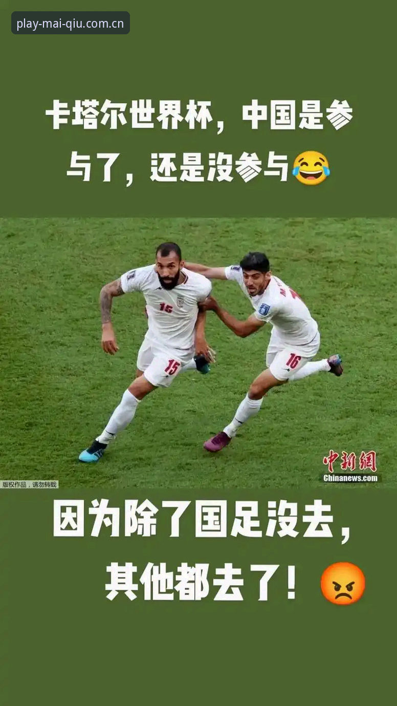 资深用户分享：世界杯观赛签证危机下的赛事资讯获取心得